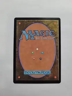 MTG - Paladin Class _ AFR Regular Rare #029 - Image 6