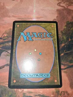 MTG Windswept Heath Foil Onslaught HP - Image 7