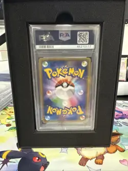 PSA10 Poncho Wearing Pikachu Black Rayquaza 2016 Pokemon Japanese XY Promo #231 - Image 2