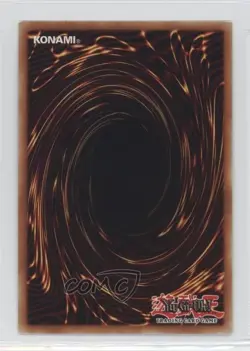 Naturia Spiderfang 1st Ed. YuGiOh Hidden Arsenal 2 #HA02-EN040 2010 e6j - Image 2