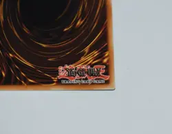 YuGiOh - Dark Magician Girl - Quarter Century Secret Rare - MP24-EN009 - Image 10