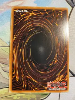 Yu-Gi-Oh! TCG Evil Twin's Trouble Sunny 2022 Tin of the Pharaohs Gods MP22-EN216 - Image 6