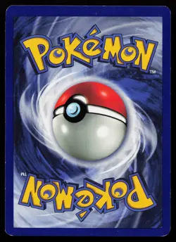 Pikachu 1/53 Black Star Promo WoTC Promo Pokémon Card - Image 1