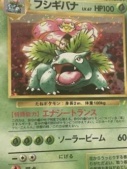 PSA 10 Japanese Venusaur Holo #3 CD Promo Pokémon Card 1999 - Image 5