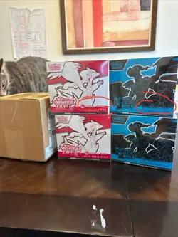 Pokemon Center ETB SET - Black Bolt and White Flare ETBs *IN HAND* - Image 1