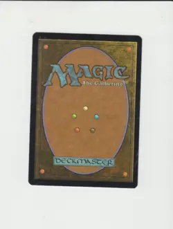 Verdant Catacombs  *Zendikar* MTG Magic the Gathering - Image 2