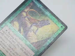 1x FOIL Basking Rootwalla Torment Damaged/HP MTG Old Border Magic - Image 3