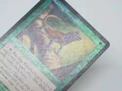 1x FOIL Basking Rootwalla Torment Damaged/HP MTG Old Border Magic - Image 6