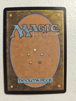 Sungrass Prairie - Foil Odyssey 328 MTG Magic - LP - Image 4