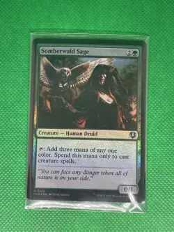 Somberwald Sage 215 MTG Innistrad Remastered Uncommon Card Foil - Image 2