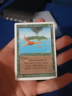 Birds of Paradise Revised Edition Regular - Image 5