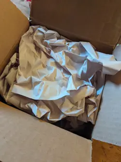 Plaguespreader Zombie SDSE-EN021 1st Edition Common NM Near Mint Yu-Gi-Oh! Card - Image 7