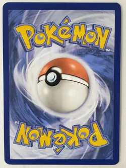 PROMO Fidough SVP069 - SHINY Twilight Masquerade Pokemon Card SVP 069 sowsow Art - Image 3