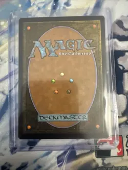 MTG 1x Silverclad Ferocidons 115 Rivals of Ixalan Magic the Gathering Card NM - Image 2