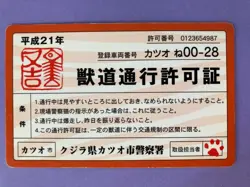 Namennayo Cat Perlorian Cats Animal Passage Permit Nameneko card - Image 10