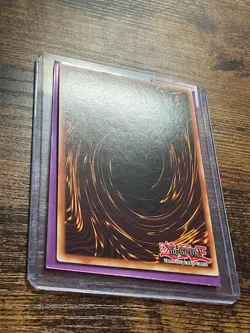 Red-Eyes Black Metal Dragon (Secret Rare) Unlimite PP01-EN015 Premium Pack VLP - Image 13