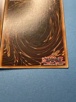 2x Bystial Baldrake + Bystial Magnamhut | MP | 1st Editions | YuGiOh! - Image 15