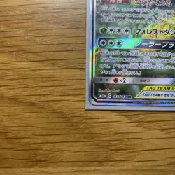 Pokemon Card Venusaur & Snivy GX 066/064 SM11a Tag Team SR Japanese 2019 - Image 5