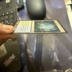 MTG Misty Rainforest Zendikar LP Magic The Gathering - Image 13