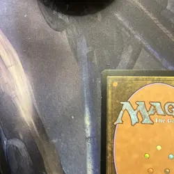 MTG Misty Rainforest Zendikar LP Magic The Gathering - Image 8