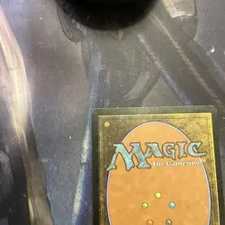 MTG Marsh Flats Zendikar Mp Magic The Gathering - Image 8