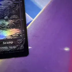 Swamp #273 - Borderless  - Foil -  BASIC LAND - MTG 2021 Innistrad: Crimson Vow - Image 4
