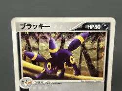 Exclusive Listing Pokemon Card #2506030016 - Image 13