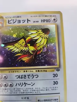 Pidgeot Jungle Holo Japanese Pokemon Card Pocket Monsters WOTC - Image 15
