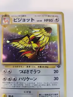 Pidgeot Jungle Holo Japanese Pokemon Card Pocket Monsters WOTC - Image 16