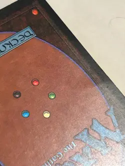 Tropical Island Revised 3rd Edition MTG Lightly Played (LP) Dual Land Magic (1) - Image 3