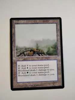 Brushland Ice Age Regular - Image 1