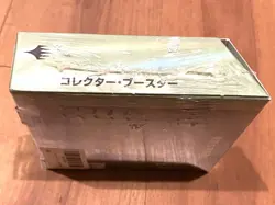 Magic: The Gathering DuskMourn: House of Horror Collector Booster Japanese Ver. - Image 5