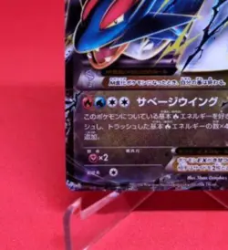 Pokemon card game promo M Salamence EX 257/XY-P - Image 6