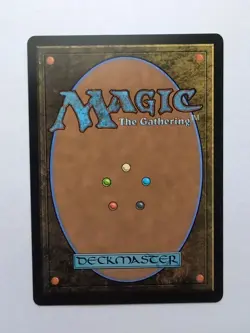 MTG Plains (TDR) Tarkir: Dragonstorm Regular Land 0287 - Image 2