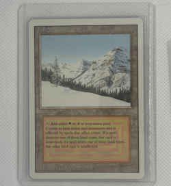 Taiga Revised Edition Regular - Image 5