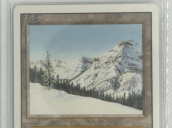 Taiga Revised Edition Regular - Image 7