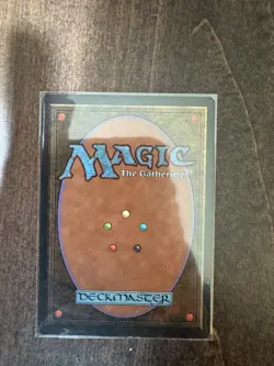 MTG Savannah Revised Edition great condition  - Image 2