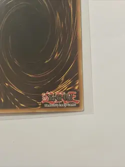 Red-Eyes B. Dragon (SD1-EN002) 1st Edition - Rare Yu-Gi-Oh! Card - Image 8