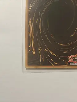 Red-Eyes B. Dragon (SD1-EN002) 1st Edition - Rare Yu-Gi-Oh! Card - Image 9