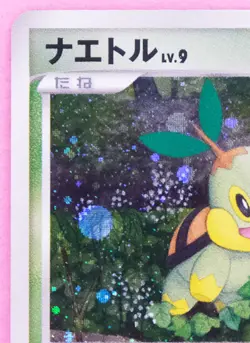 Turtwig Holo 2007 001/PPP Vintage Very Rare Nintendo Pokemon Card Japanese F/S - Image 12