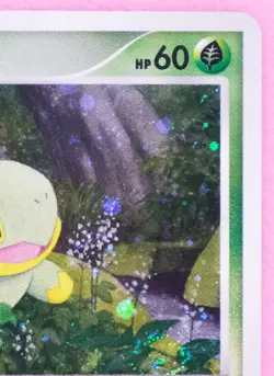 Turtwig Holo 2007 001/PPP Vintage Very Rare Nintendo Pokemon Card Japanese F/S - Image 13