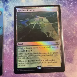 Restless Prairie (FOIL) x1 - MTG The Lost Caverns of Ixalan LCI #281 - Image 2