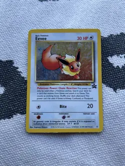 Pokemon TCG Eevee #11 Black Star Promo JR Rally English Rare Card PSA - Image 2