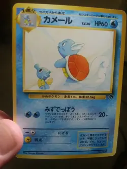 NM Wartortle No. 008 Japanese Southern Islands Pokémon Card - Image 1