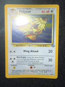 Pidgeot Holo Jungle Base Set Pokemon Card One Owner 8/64 - Image 4