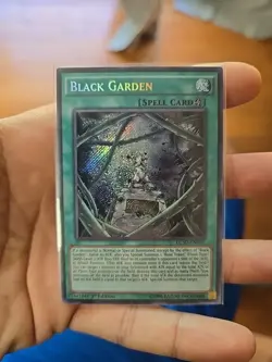 Yugioh Black Garden LC5D-EN101 Secret Rare 1st Ed NM - Image 1