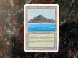 MTG Tropical Island Revised Edition Dual Land LP - Image 1