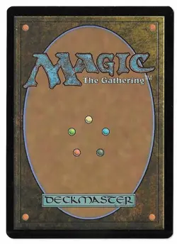 MTG Paladin's Arms Final Fantasy (FIN) Common Magic Card #0028 Unplayed - Image 2