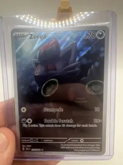 Zorua 075/064 Shrouded Fable Holo Illustration Rare Card Pokémon TCG Near Mint - Image 7