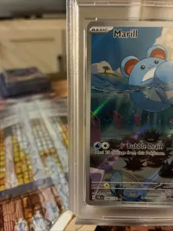 2023 Pokémon Paldea Evolved Illustration Rare Marill Card PSA 8 - Image 2